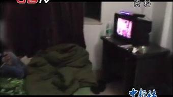 国产男同志视频 微信,微信社交下的情感共鸣与探索