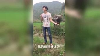 国产福利视频95,揭秘国内影视行业的新趋势与亮点