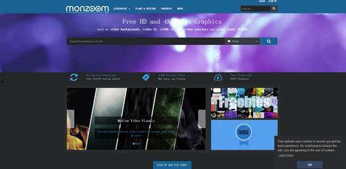 国产高清视频50页  第3张