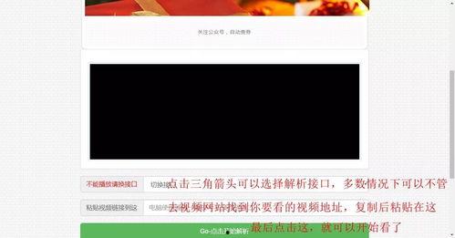 国产v福利免费视频 第3张 国产v福利免费视频 第3张