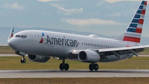 国产737降落视频,精湛技艺与国产骄傲的完美融合  第3张